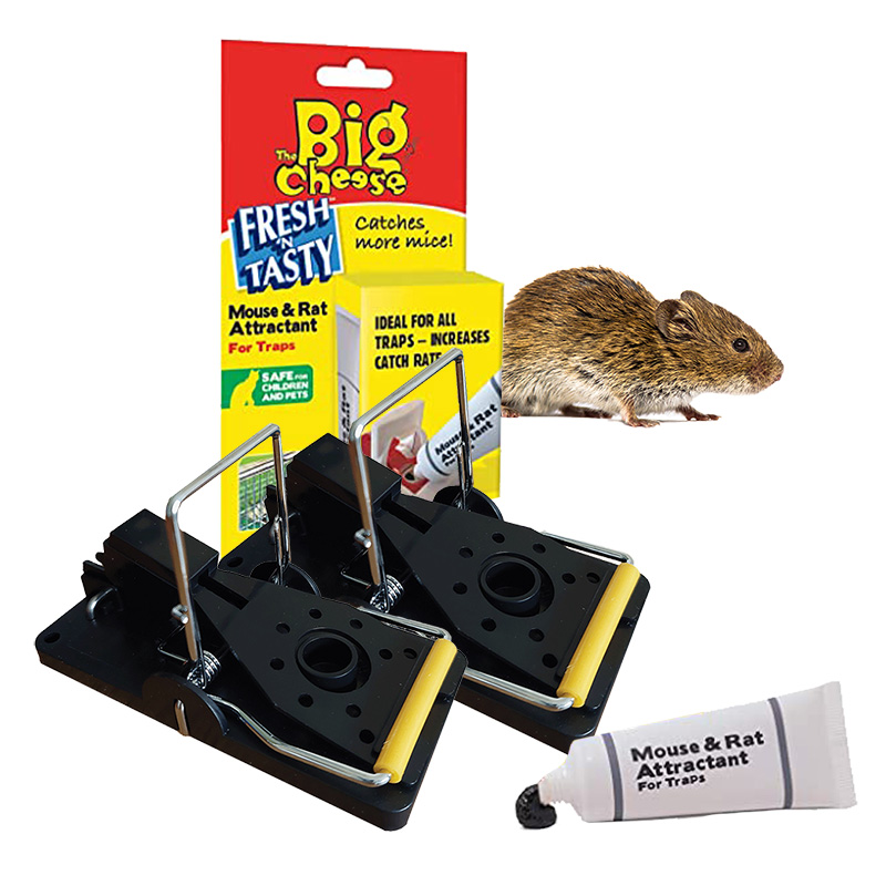 Professional Mouse Traps with Lure